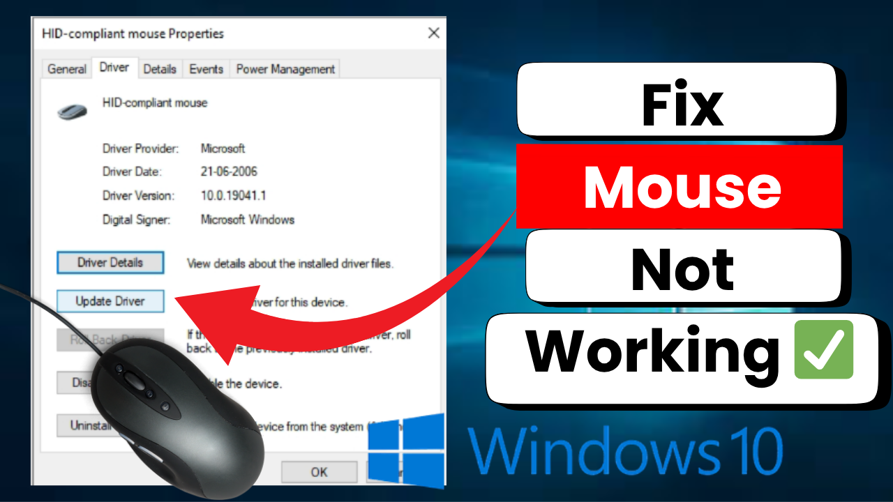 How to Fix Mouse Not Working in Windows 10 2025 Easy Guide