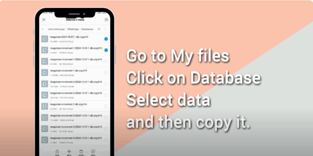 Copy and Paste Database Files