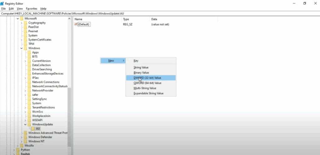 Create the NoAutoUpdate Value