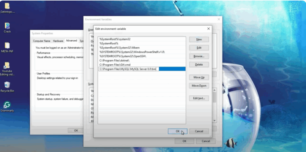 Set MySQL Environment Variables