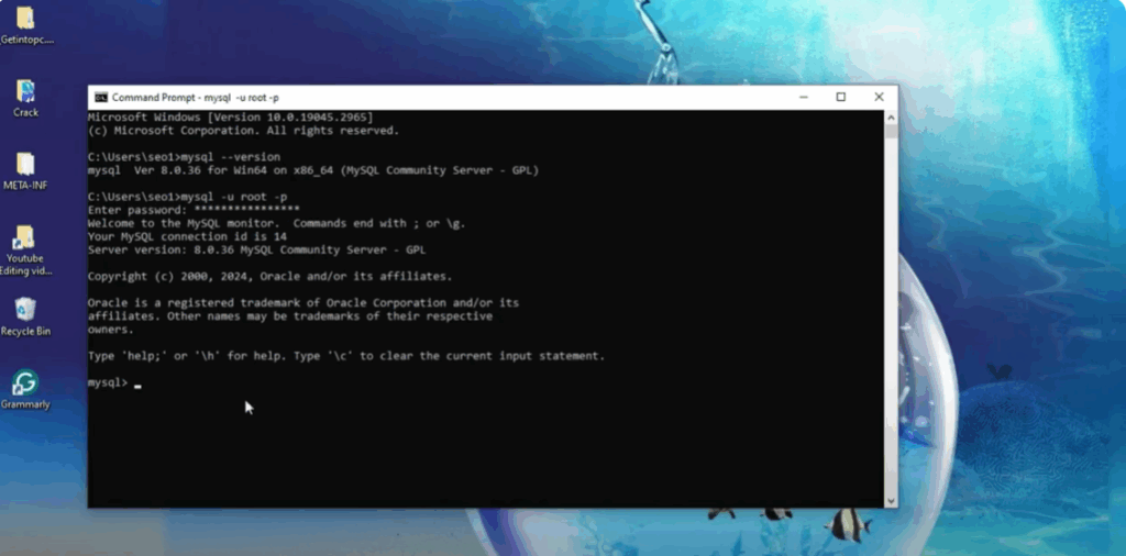 Verify Installation in Command Prompt