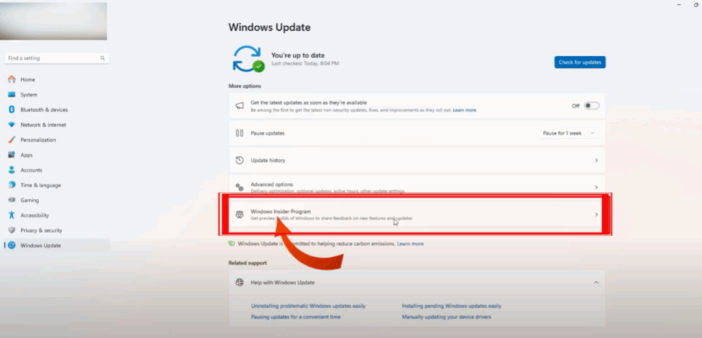 Windows Insider Program