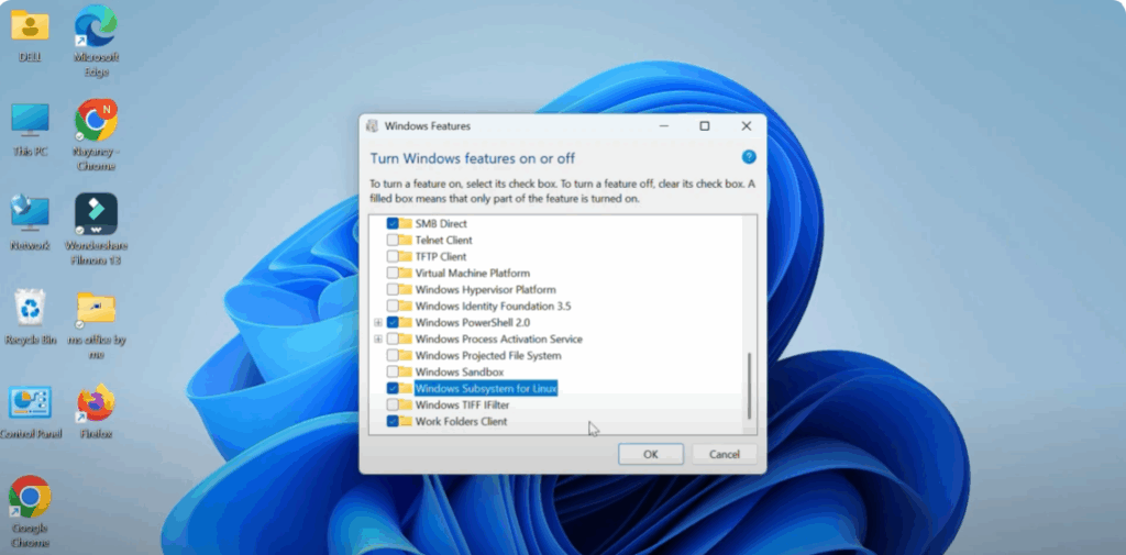 Windows Subsystem for Linux