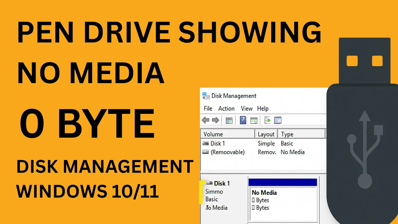 Pen Drive Showing No Media 0 Byte in Disk Management Windows 10/11