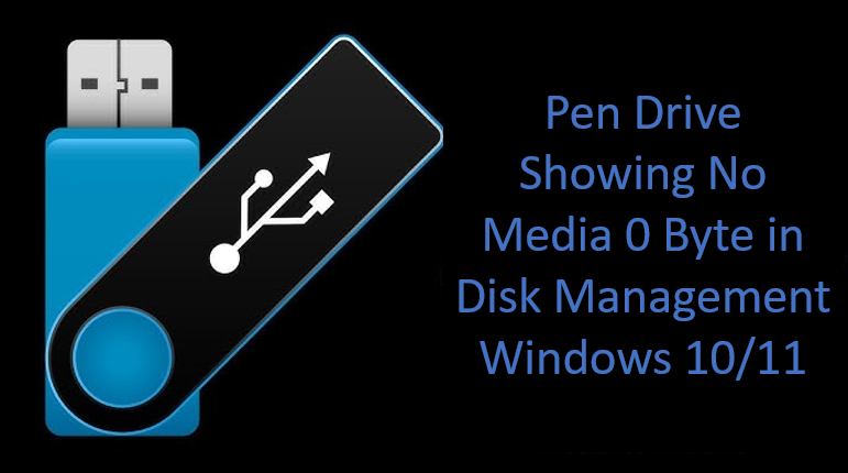 Pen Drive Showing No Media 0 Byte in Disk Management Windows 10/11