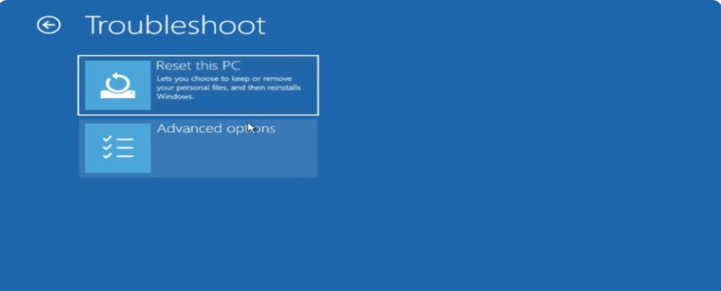 Boot Into Advanced Options