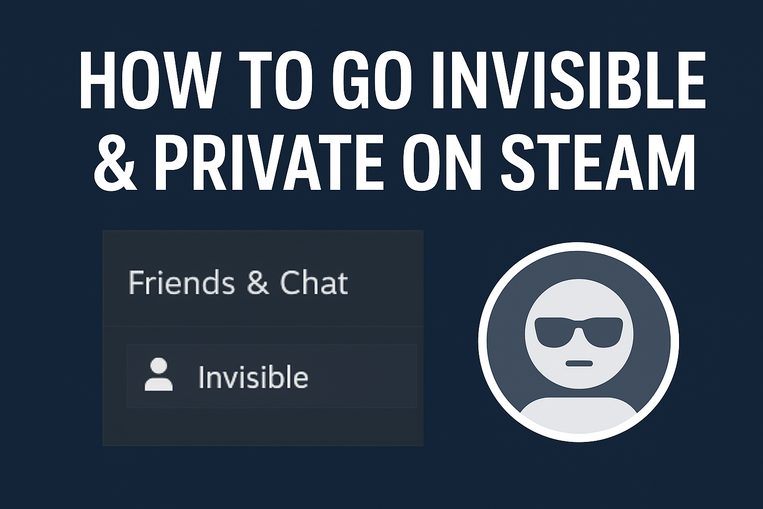 Go Invisible & Private on Steam