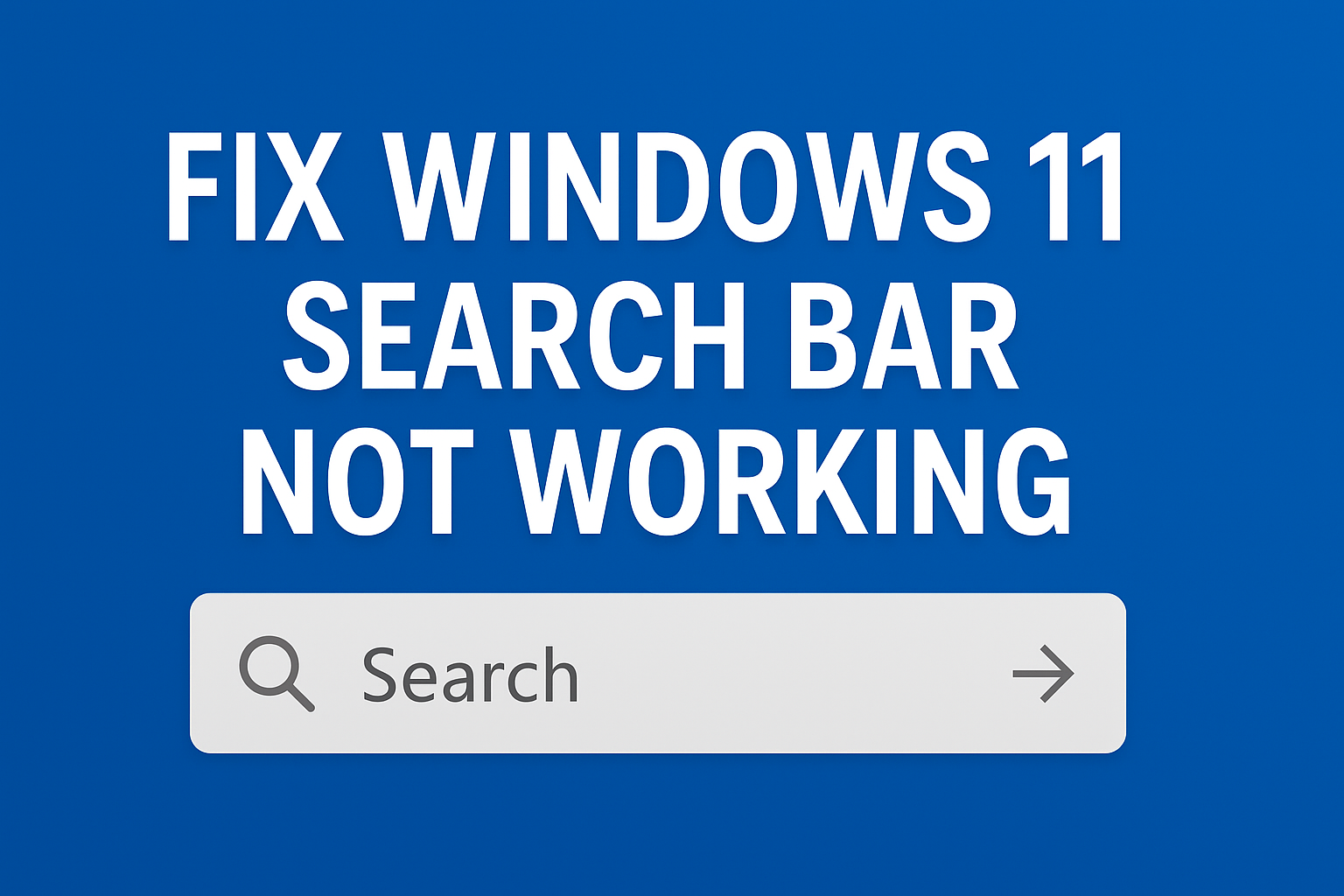 Search Bar Not Working